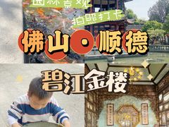 -碧江金楼