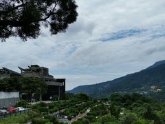 -江西阳明山国家森林公园