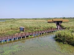 -宁波杭州湾国家湿地公园