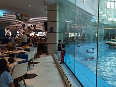 -帝企鹅自助餐厅•儿童岛•真企鹅(长隆企鹅酒店)