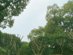 -黄兴公园