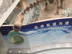 -中国地质大学逸夫博物馆