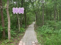 -茅兰沟国家森林公园