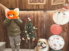 -鸟鹏烧鸟居酒屋(昌岗店)