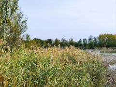 -野鸭湖国家湿地公园