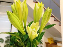 -森野花艺培训·企业团建活动沙龙