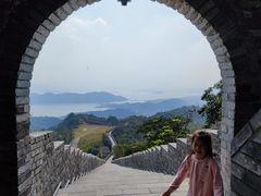 -黄贤森林公园