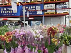 -山姆会员商店(上海浦东店)