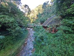 -西双版纳原始森林公园