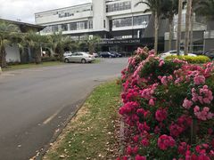 -馬車會海鮮酒樓