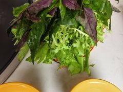 -藏味八珍特色火锅