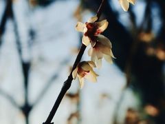 -赤山风景区