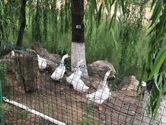 -北京张裕爱斐堡酒庄