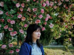 -鹅湖玫瑰文化园