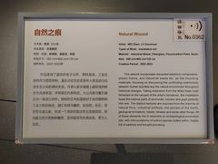 -四川大学博物馆