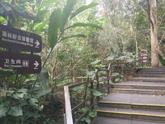 -呀诺达热带雨林