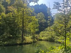 -五泄景区