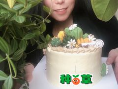 -CAKE BOSS 蛋糕老板(西单君太百货店)