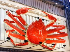 -蟹道乐(道顿堀本店)