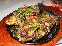 -伊通龙凤烧鸽子(二店)