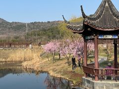-石塘人家