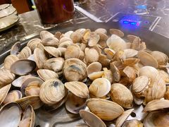 蛤蜊-蔚海之都·象山蒸汽海鲜(仙霞路店)