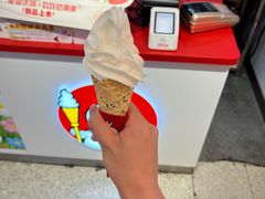 -蜜雪冰城(观音桥步行街店)