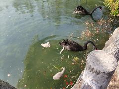 -上海野生动物园