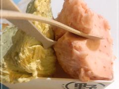 -野人牧坊Gelato(天津南开大悦城店)