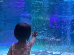 -沈阳海洋探索中心