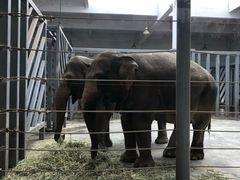 -宁波野生动物园