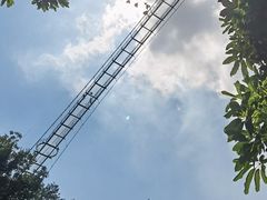 -南丹山森林王国