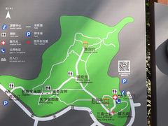 -上海佘山国家森林公园天马山园
