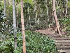 -杭州黄龙洞