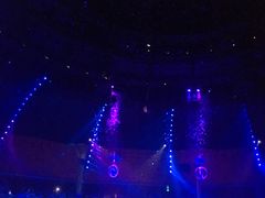 -珠海横琴长隆《卡卡虎奇遇记》