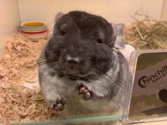 -龙猫仔乐园(惠福东路店)