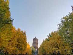 -玲珑塔公园