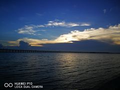 -宝安西湾红树林湿地公园