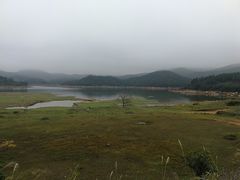 -大姆山草场