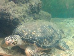 -苏州海洋馆