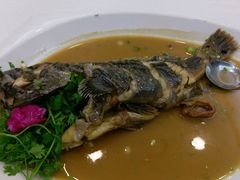 黑鱼-锦昌酒楼(即墨店)