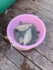 -小蜜蜂农场(凯德七宝购物广场店)