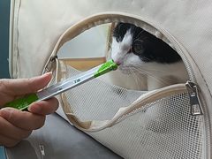 -德元·美联众合24小时动物医院(总院)