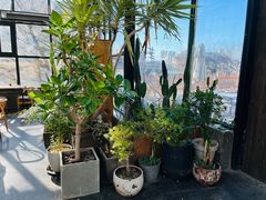 -北马山庄植趣咖啡