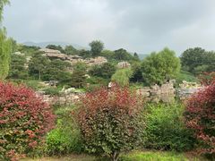 -北京西山国家森林公园