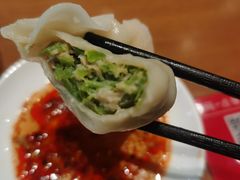 -鸿毛饺子(紫竹桥店)