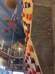 -卡通尼·Safari非洲探索乐园·生日会(金桥国际商业广场店)