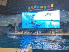 -泉城欧乐堡海洋极地世界