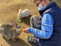 -前小桔亲子创意农场·草莓采摘·露营烧烤