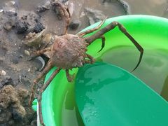 -钱大妈海鲜饭店(保利林语店)